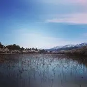はくと