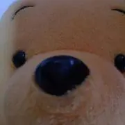 ぱぴぷ★プロフ必読(._.)