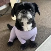 田崎ゆあ