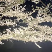 うゆ