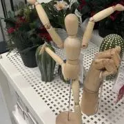 SenZの画像