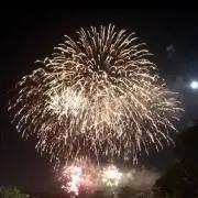 デイトナの画像