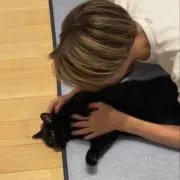 やまとの画像