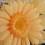 ひと