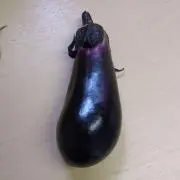 ハルータの画像