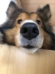 ☆空☆の画像