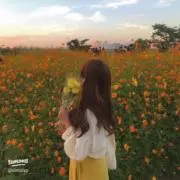 みかの画像