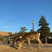 サントリーの画像
