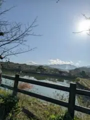 リファル