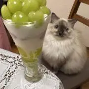 ヘヴィメタボマン!の画像