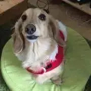 みゆ吉★プロフご一読お願いします