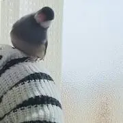 ゆき★
