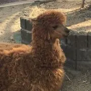 yuの画像
