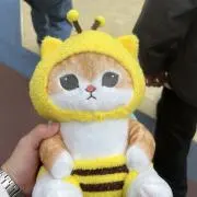 ブル