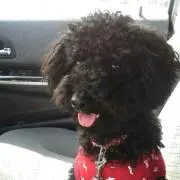 ★cocoa ★