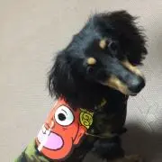 ミヤマサ