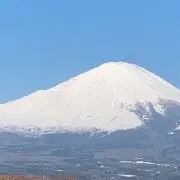 セッキーの画像