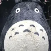 Poko