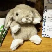 coの画像