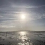 KANKI Olli 10th Anniversary 限定スリップマット２枚 KANKI Olli 10th Anniversary 限定スリップマット2枚 - メルカリ