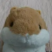 ミエモンの画像