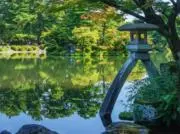 たまの画像