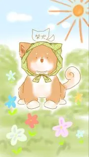 まるみるみっきーの画像