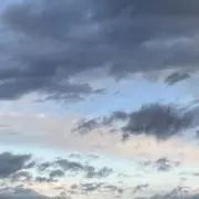 シナモンロールの画像