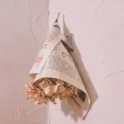 みぺぽの画像