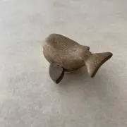 コハルの画像