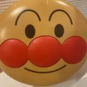 メイちゃんの画像