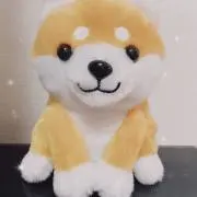 ぱるびの画像