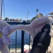 Y  プロフ必須の画像