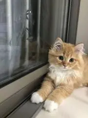 3104