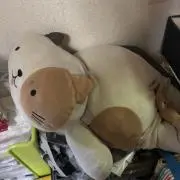翔ちゃんの画像