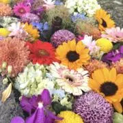 minmi 即日発送♪の画像