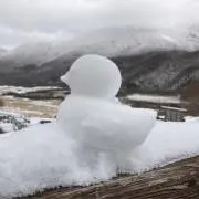 nuimaruの画像