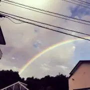 やんもも♪の画像