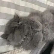 ゆうた