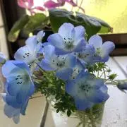 mtrkikの画像