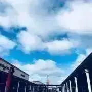 ☆83☆の画像