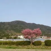 ♢Mayu♢の画像