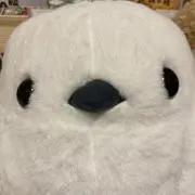 シマエナガ
