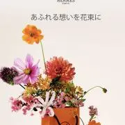JURIAの画像