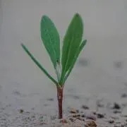 雨時々虹☆即購入OK☆の画像
