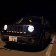 バンジーガムの画像