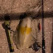 釣り