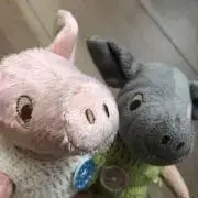 ポリーの画像