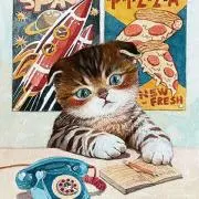 ねこの画像
