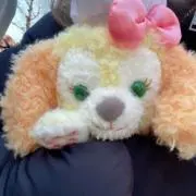 しのの画像